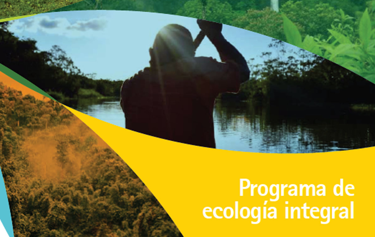 REPAM programa ecología integral