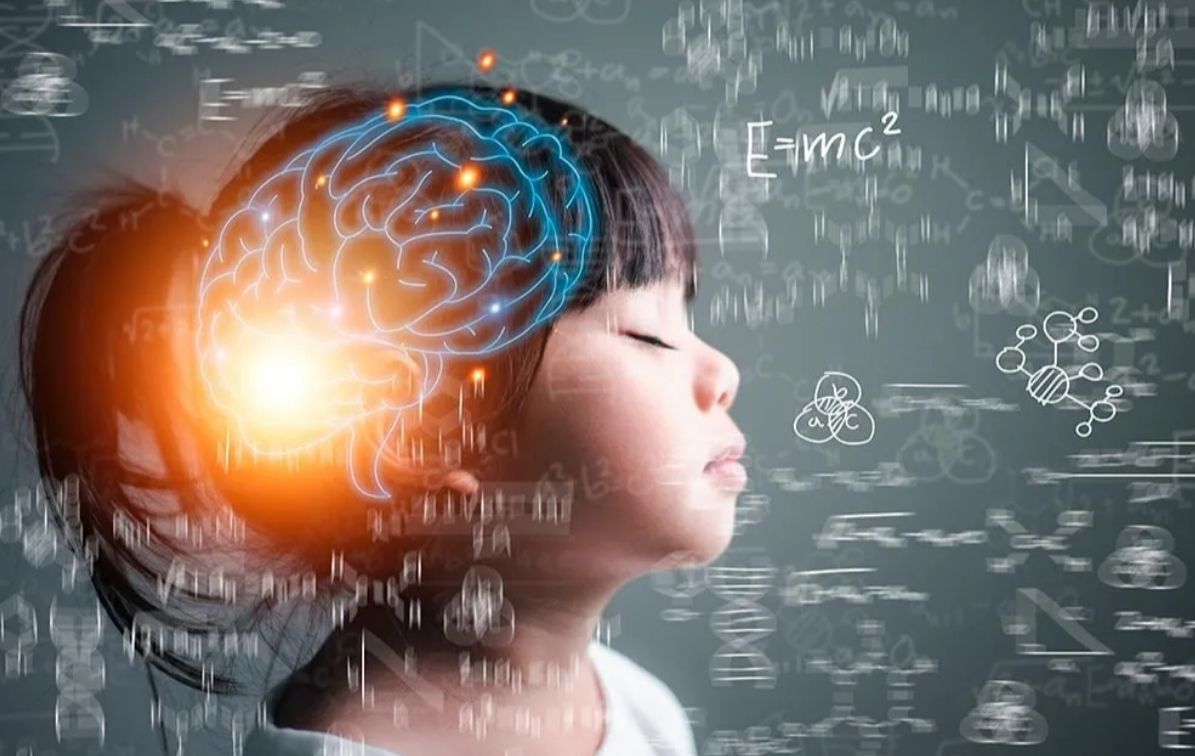 Neuroeducación y Diseño Universal para el Aprendizaje