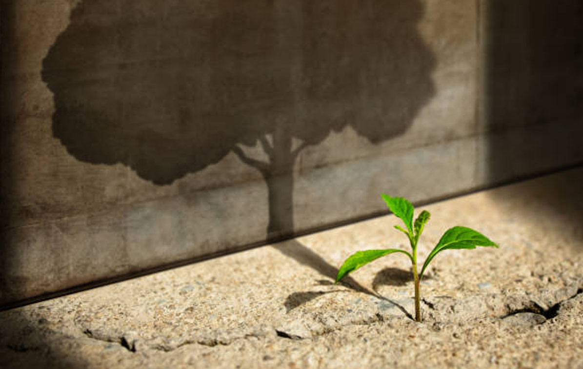12 claves para que educar sea un acto de esperanza - Ed. 94